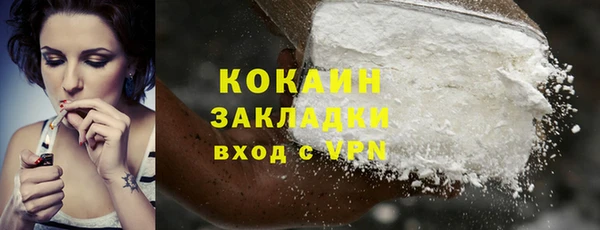 шишки Горно-Алтайск