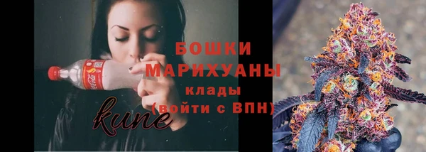 шишки Горно-Алтайск