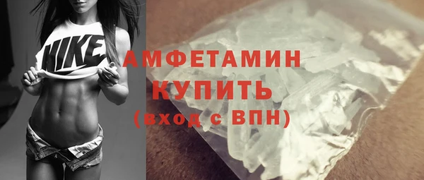 шишки Горно-Алтайск