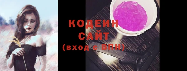 шишки Горно-Алтайск