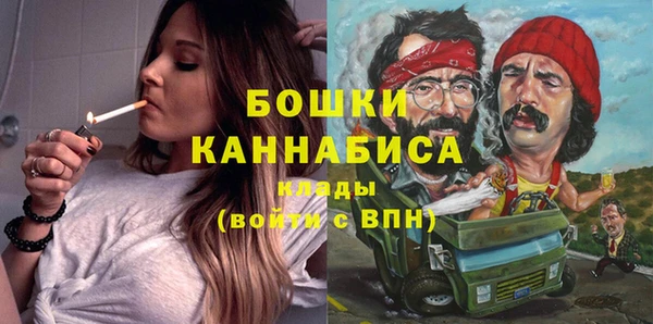 шишки Горно-Алтайск