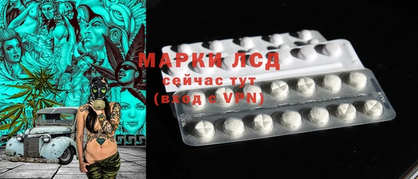 шишки Горно-Алтайск
