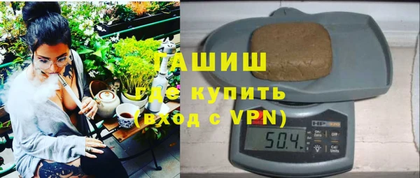 шишки Горно-Алтайск