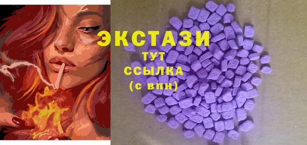 шишки Горно-Алтайск