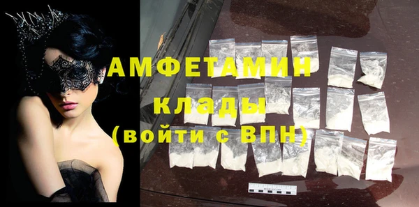шишки Горно-Алтайск