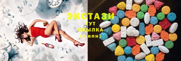 шишки Горно-Алтайск