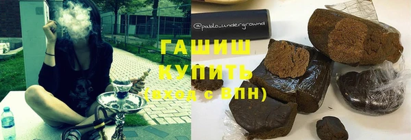 шишки Горно-Алтайск