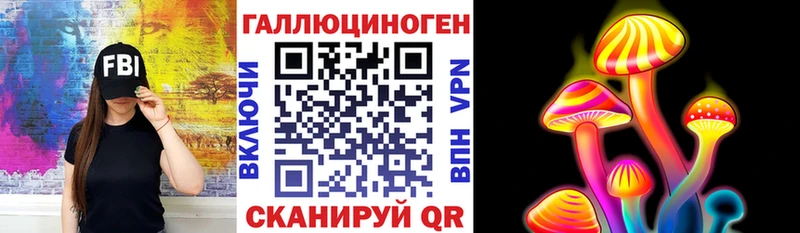 Псилоцибиновые грибы Psilocybine cubensis Данков